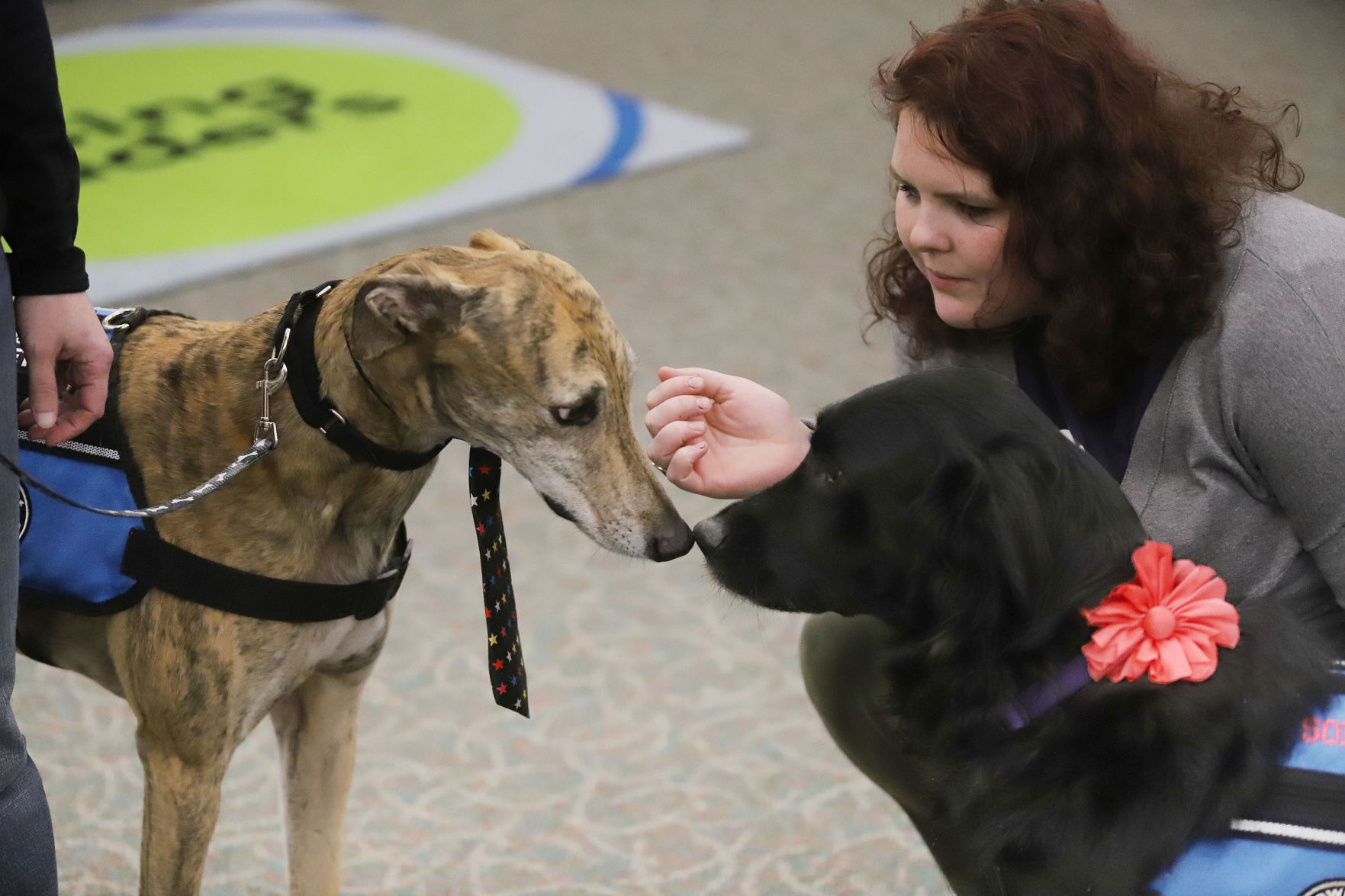PawPrint Reading 7 1.3.19.jpg